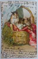 AK von 1903: Katzen im Korb