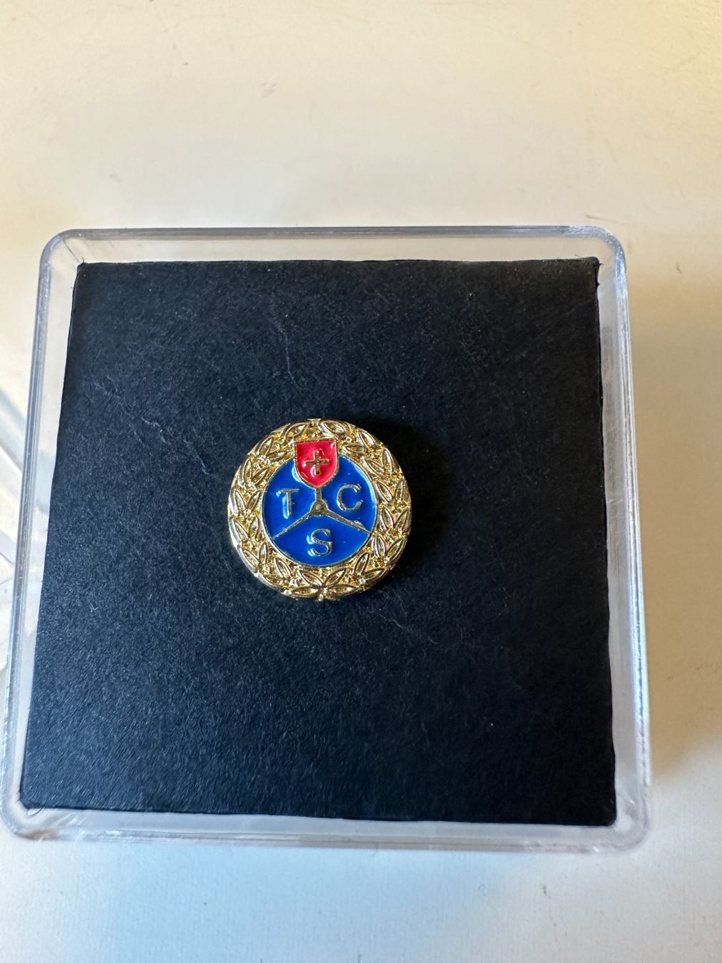 Spille & Fermagli: TCS Jubiläums Pin – Usato da Urdorf venduto da Erika666