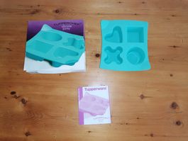 Tupperware TupperChef Silikonform – Neu & OVP – Backform