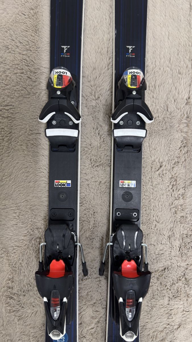 Dynastar Sci: Dynastar Speed Course Master GS Ski 173cm mit Look Bindung – Usato da Dietlikon venduto da kickboxer_999 3