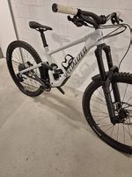 Mountainbike/specialized