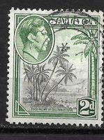 Jamaica 1938: Kokospalmen