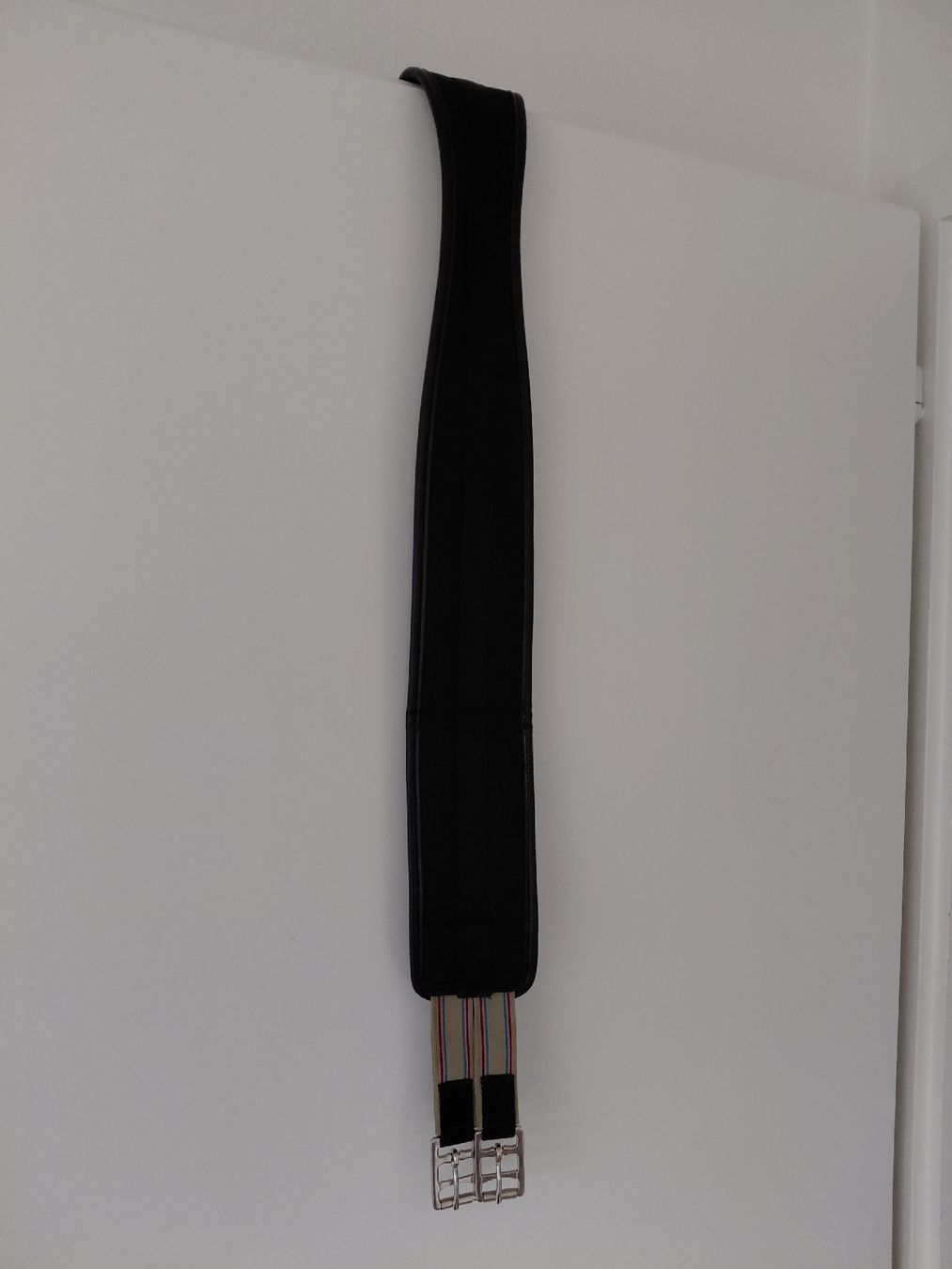 Selle & Accessori: Sattelgurt 170cm Kaltblut – Nuovo (secondo la descrizione) da Windisch venduto da stiiine