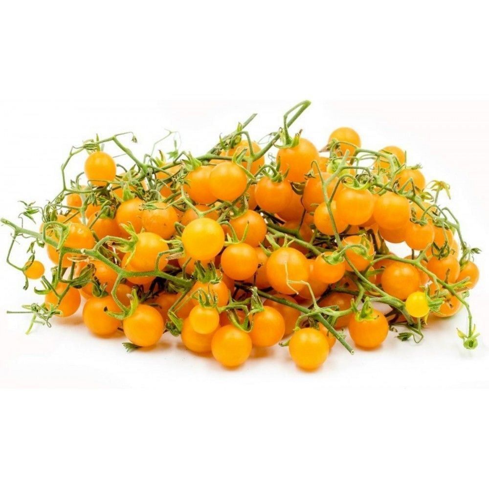 Piante & sementi: 50 Samen Johannisbeertomate GELB – Nuovo (secondo la descrizione) da Ehrendingen venduto da VerveinaSamen 4