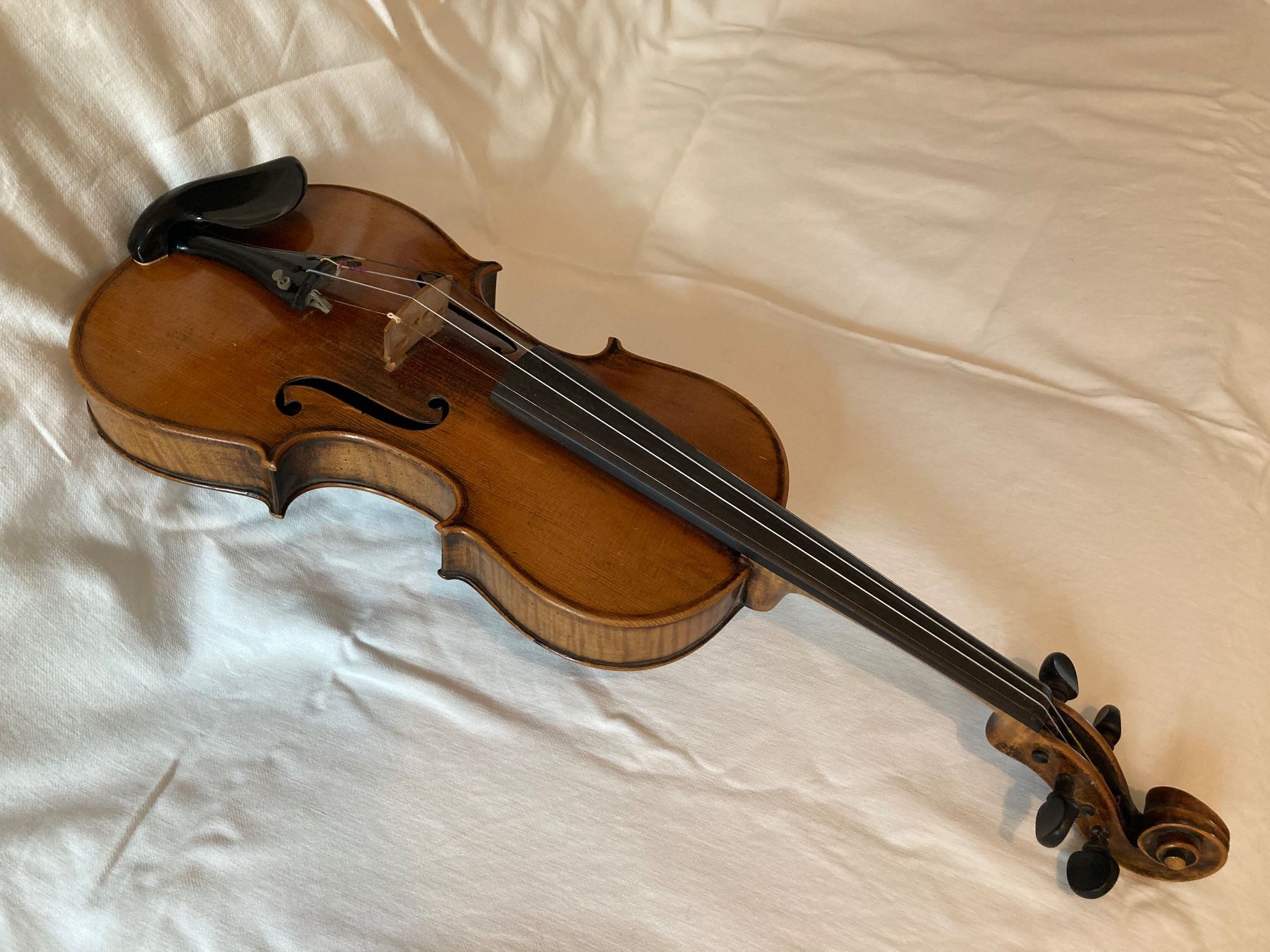 Strumenti musicali: Violine guterhalten – Usato da Rüti ZH venduto da coccinelle88 2