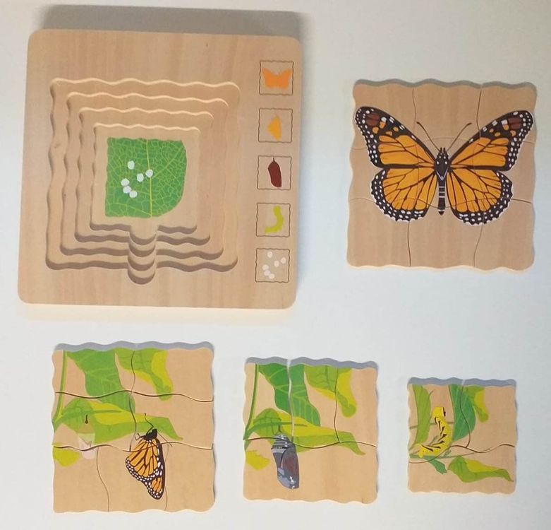 5 Holzpuzzle übereinander, wie entsteht ein Schmetterling | Kaufen auf