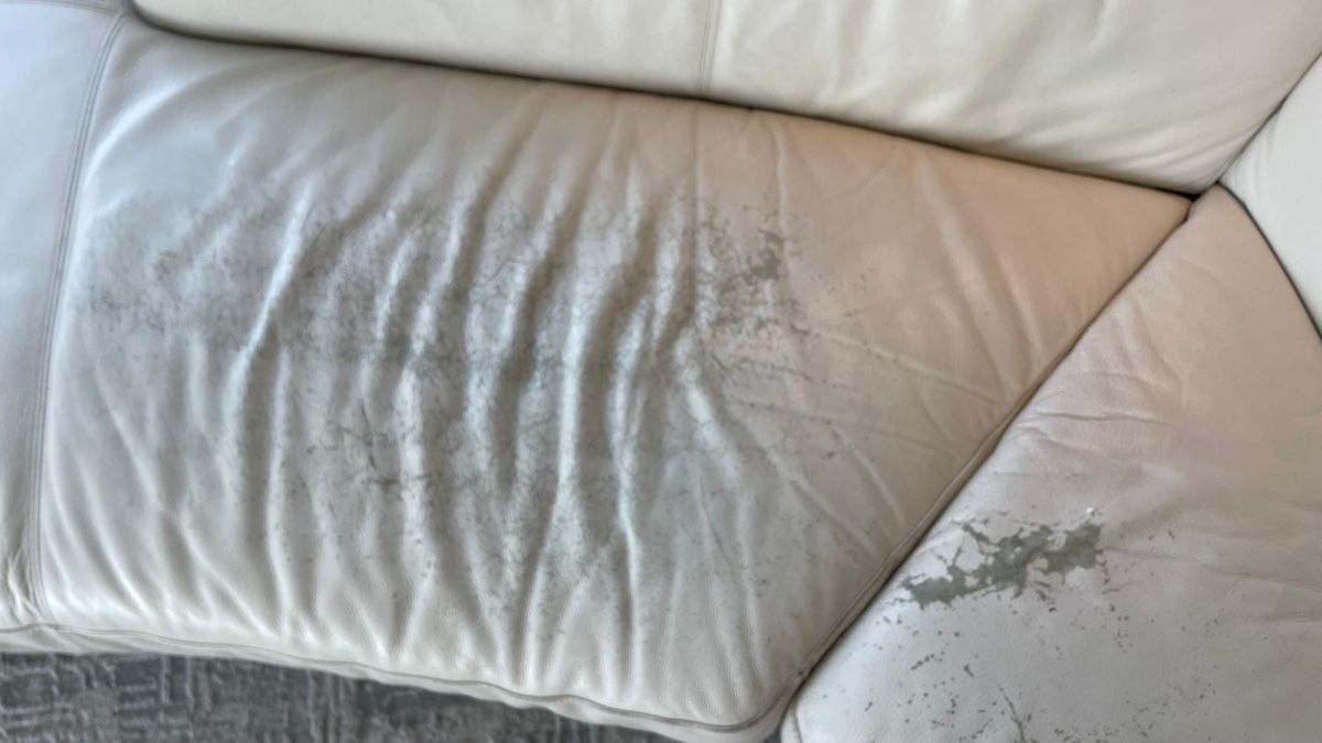 Sofas: Ledersofa von Natuzzi – Gebraucht aus Pfäffikon ZH von patmanu04 5
