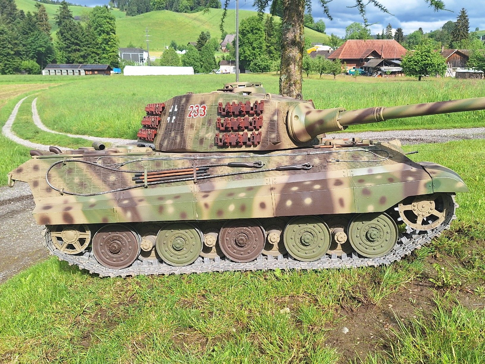 Modellismo RC: Rc Panzer von BT, in 1:4 – Usato da Huttwil venduto da hab_wdp7