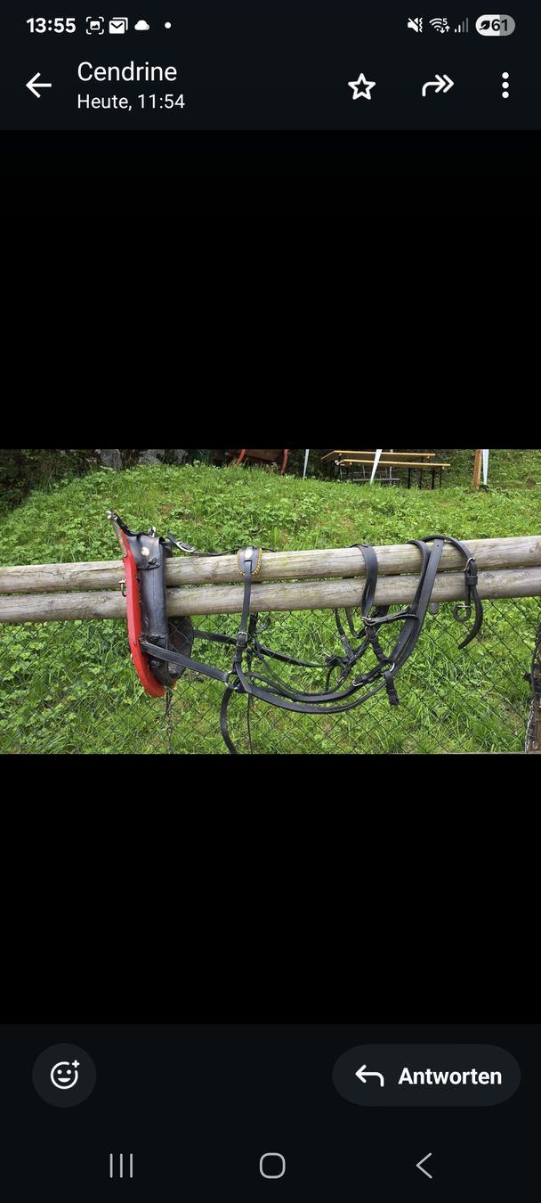 Briglie & Cavezze: 2 Colliers grisonnais rouges pour poneys – Usato da Herrliberg venduto da revelune 3
