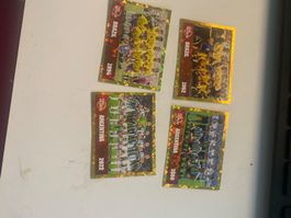 WM PANINI STICKER 2026 FWC12,14,15,19