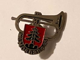 1 Pin MG Mosnang 1993 Musikgesellschaft