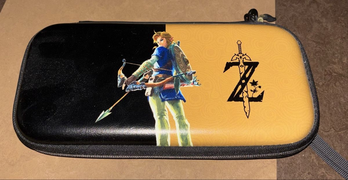 Nintendo Custodie protettive: Switch Hülle – Usato da Brüttisellen venduto da Sese_99