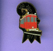 BVB  100Jahre