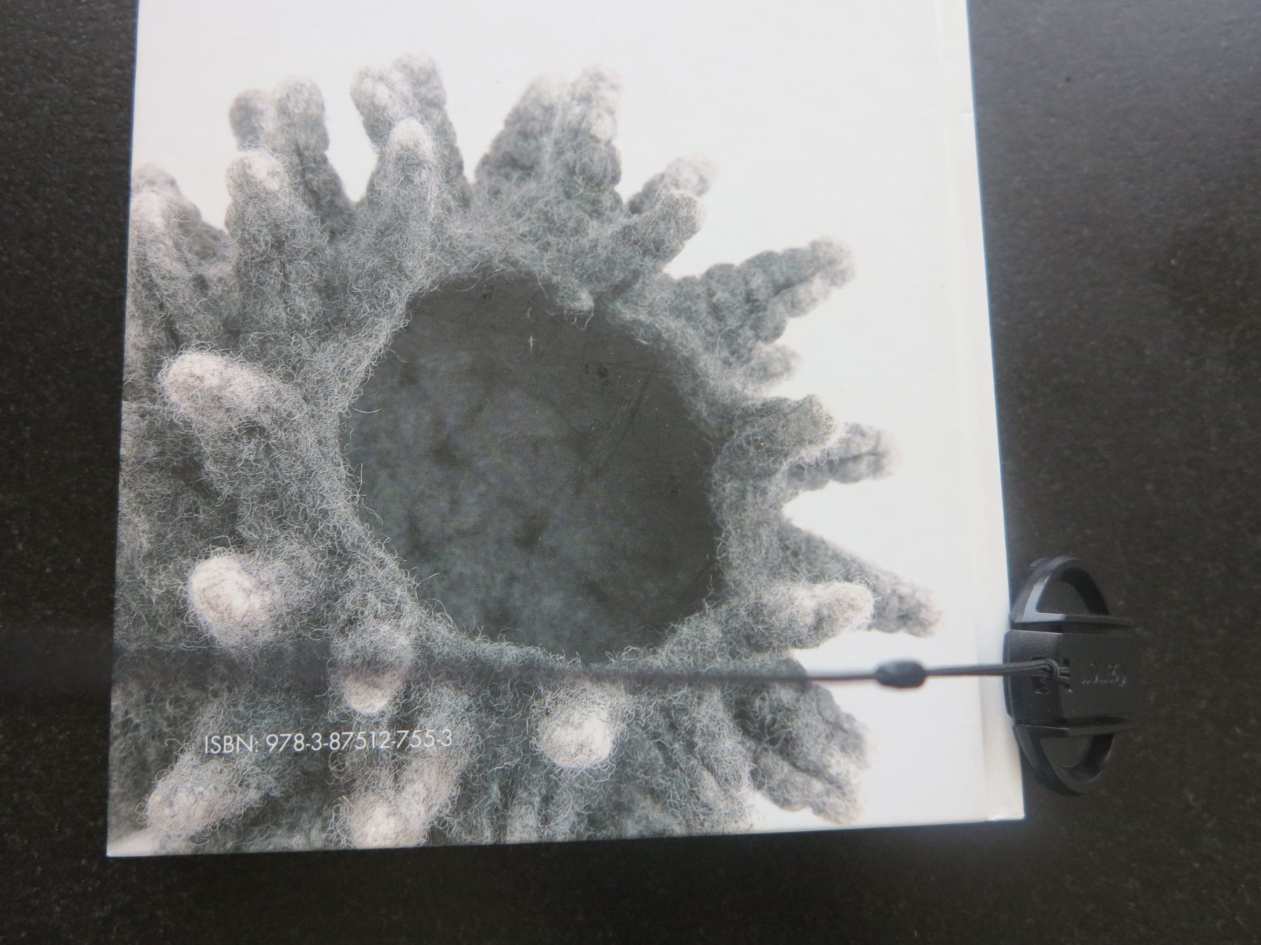 Bücher: Filz Experiment – Gebraucht aus Büttikon AG von Kaebri 2