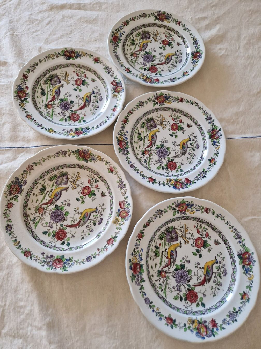 Spode Piatti: Spode Teller Antik – Usato da Bern venduto da Antikbatik 6