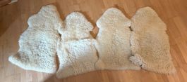 4 Schaffelle naturweiss guter Zustand