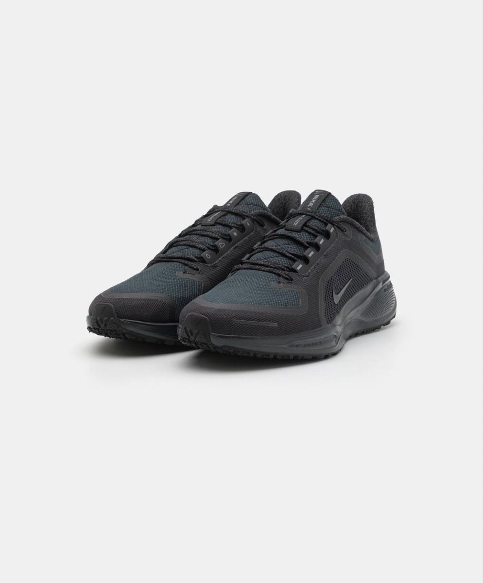 Nike Scarpe da uomo: Nike pegasus 42 Gore tex – Nuovo (secondo la descrizione) da Wilen b. Wollerau venduto da kat_hw7k