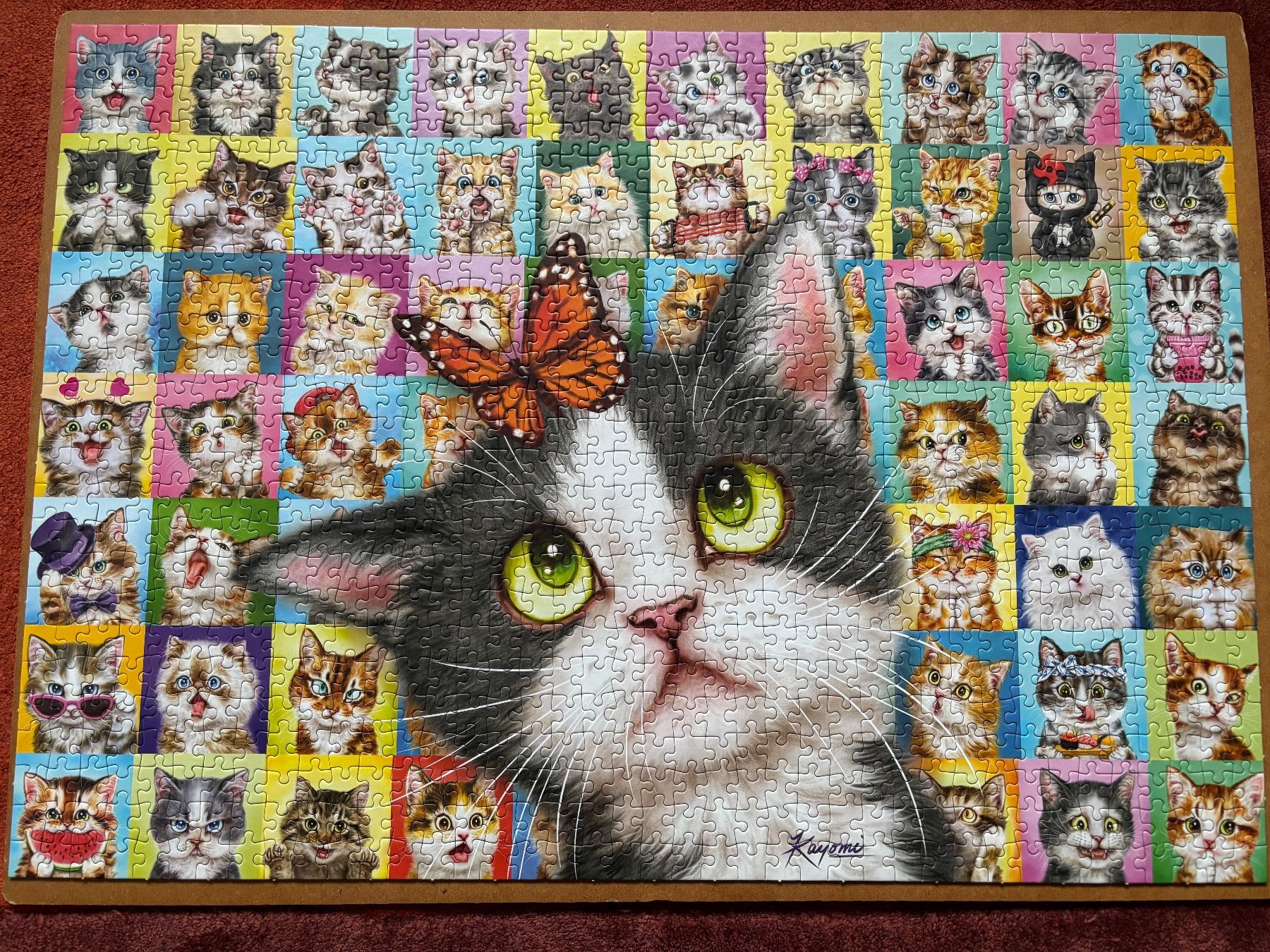 Puzzles: Puzzle 1000 Teile Schmidt, Katzen Mimik – Gebraucht aus Seftigen von Muggelwomb 1