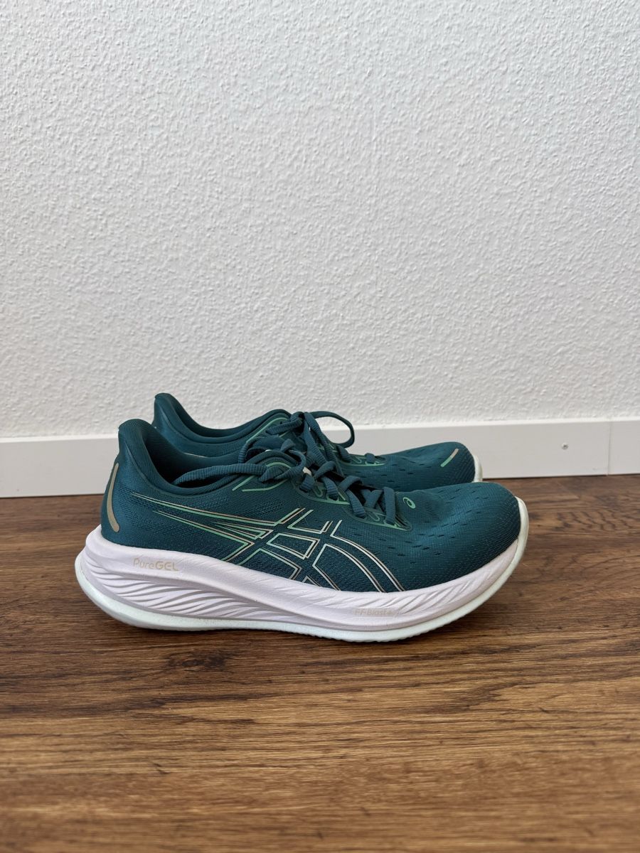 Asics Herrenschuhe: ASICS Gel-Cumulus - 41.5 – Gebraucht aus Liestal von STUDIO_0