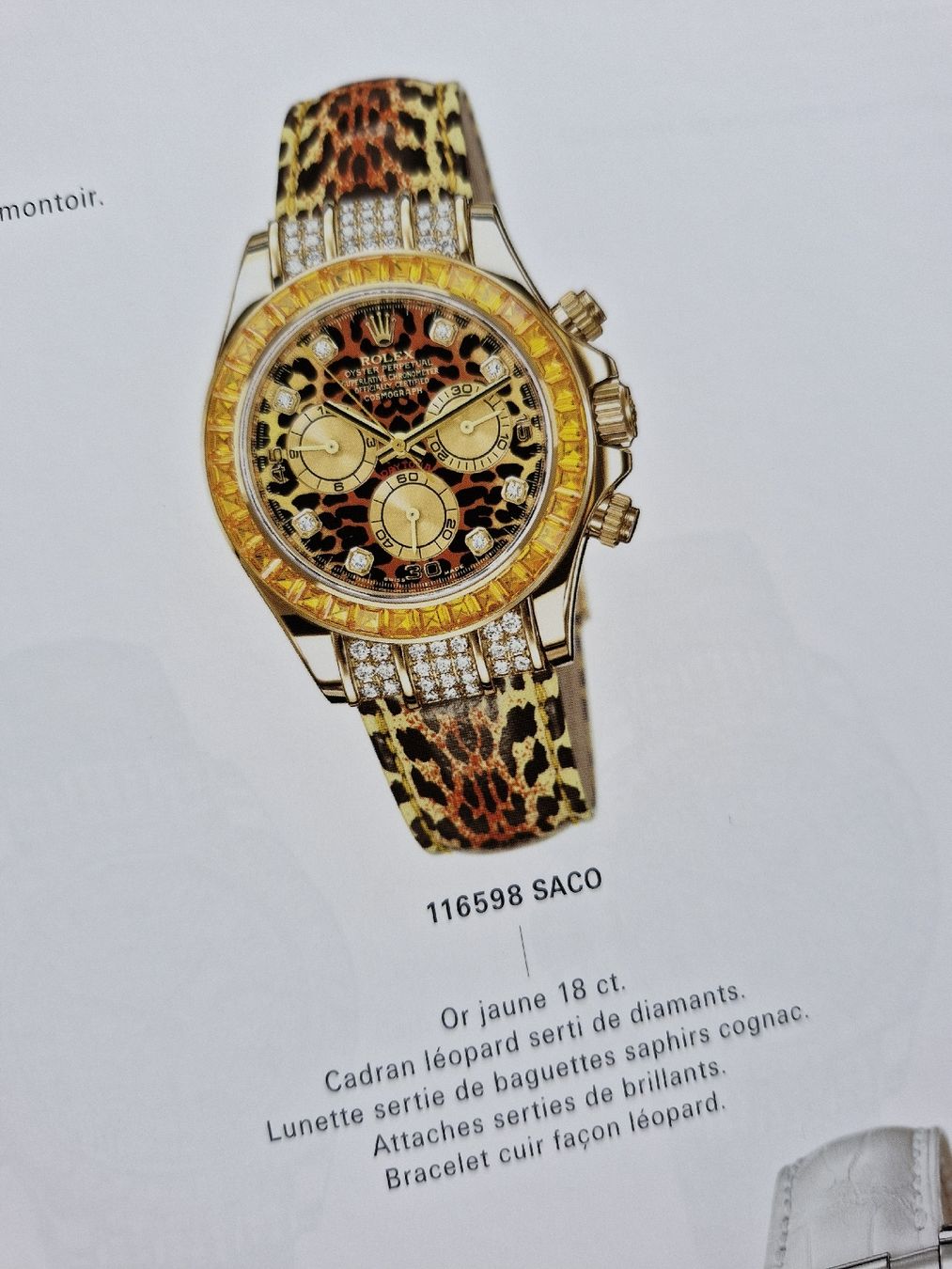 Libri: Rolex Oyster Perpetual Katalog 2010-2011 – Usato da Zürich venduto da Secretariat11