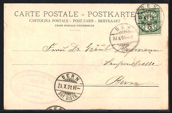 Cartoline postali: AK Bex, Panorama avec Dent du Midi, 1901 – Usato da Berlin venduto da bartko-reher 1