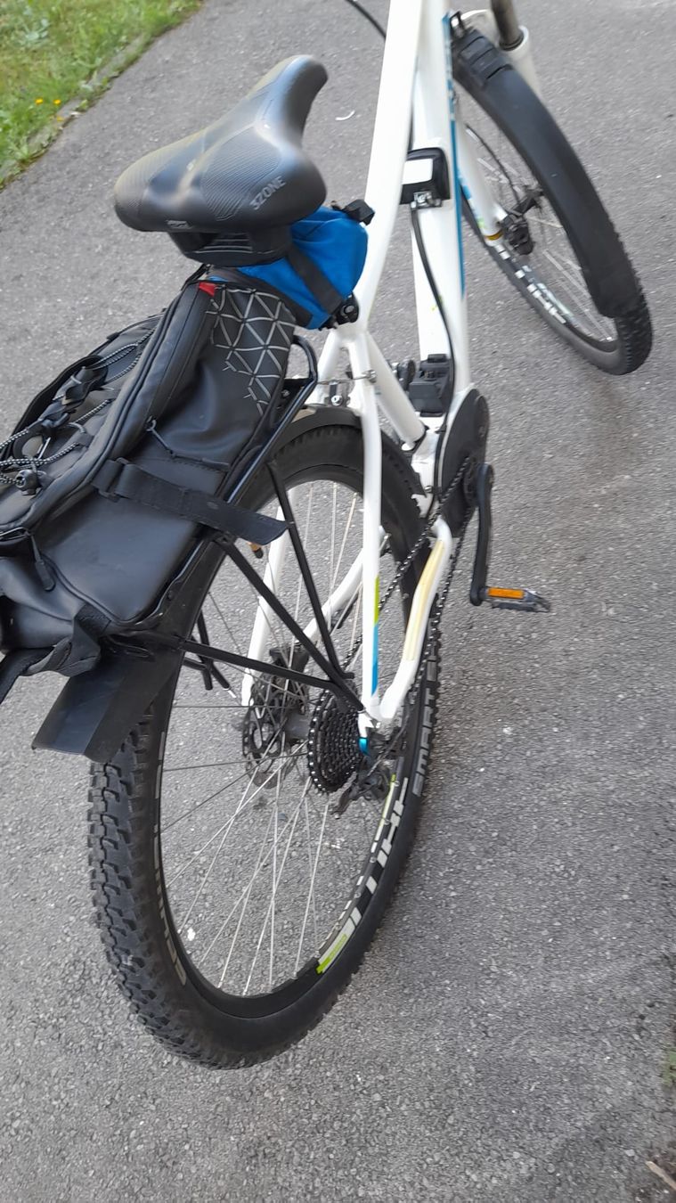 Voiturettes électriques: Verkaufe E-Bike  – D'occasion à Bronschhofen par bjoern_pel 2