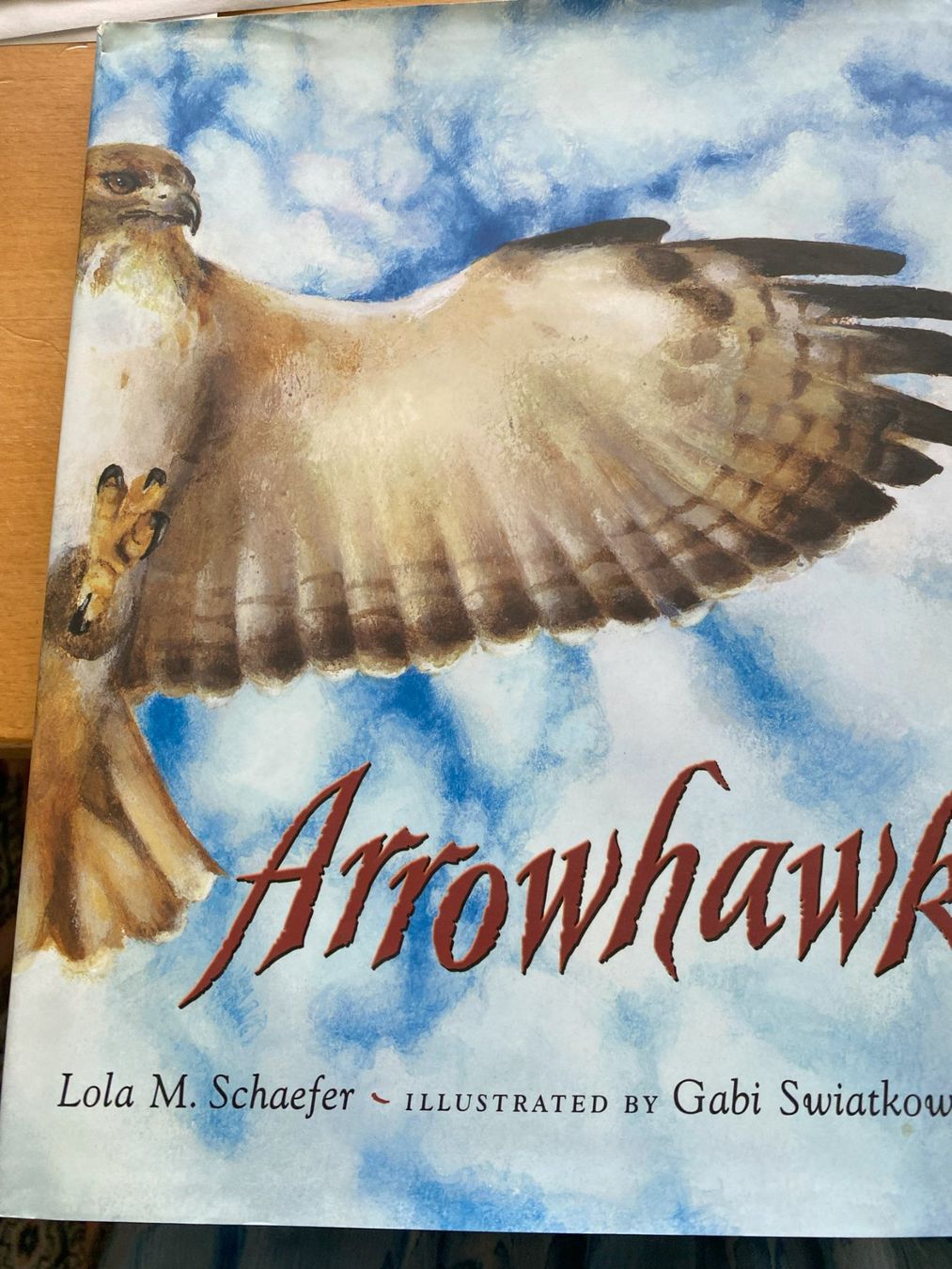 Libri: Arrowawk – Nuovo (secondo la descrizione) da Sachseln venduto da basti1950