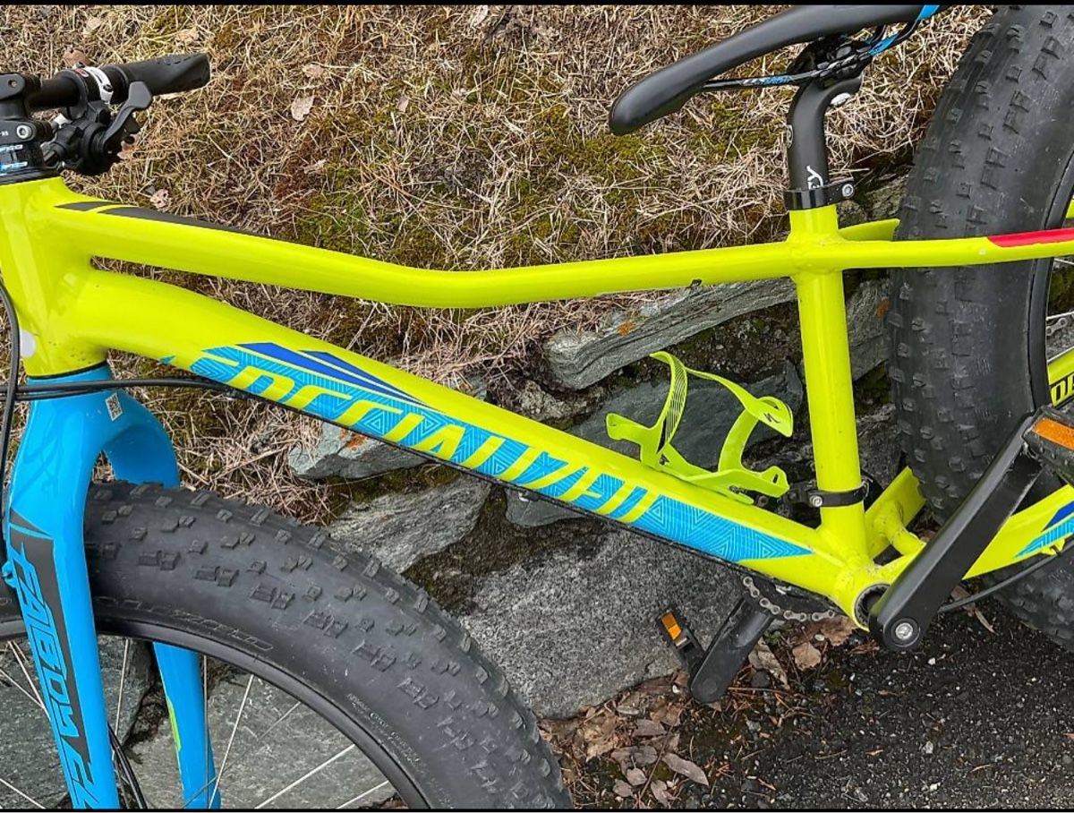 Specialized Biciclette: Cooles Specialized Fatboy Kinderfahrrad – Usato da Belp venduto da Thom2021 1