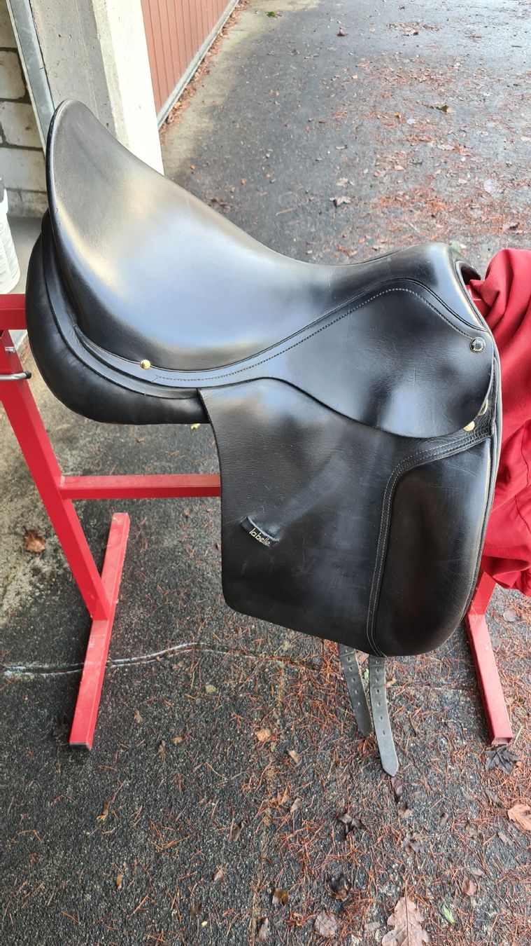 Selles, accessoires: la belle sattel – D'occasion à Trimbach par Meily2 5