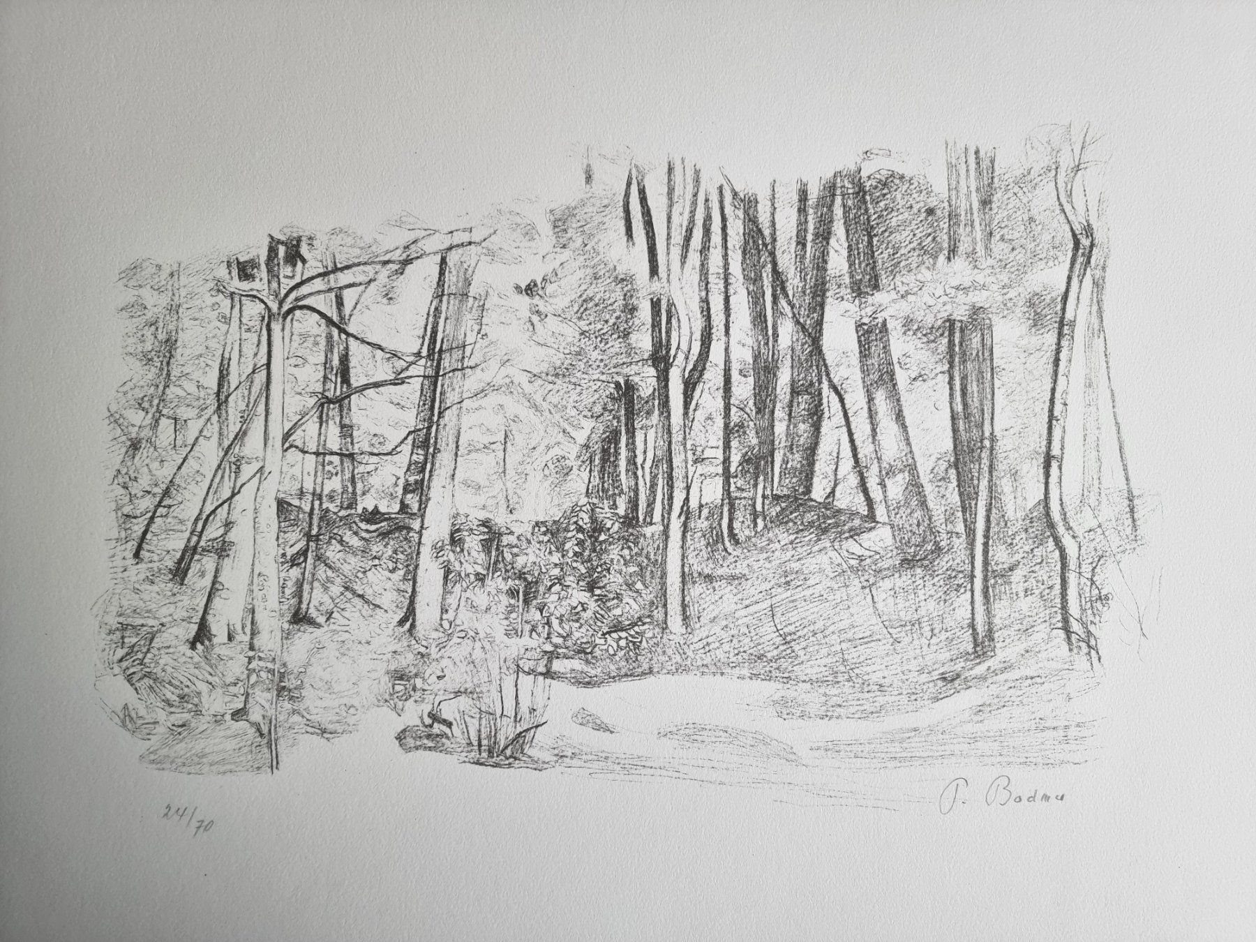 Grafica & Litografie: PAUL BODMER LITHOGRAPHIE SIGNIERT NUMMERIERT – Usato da Gersau venduto da kunst-online