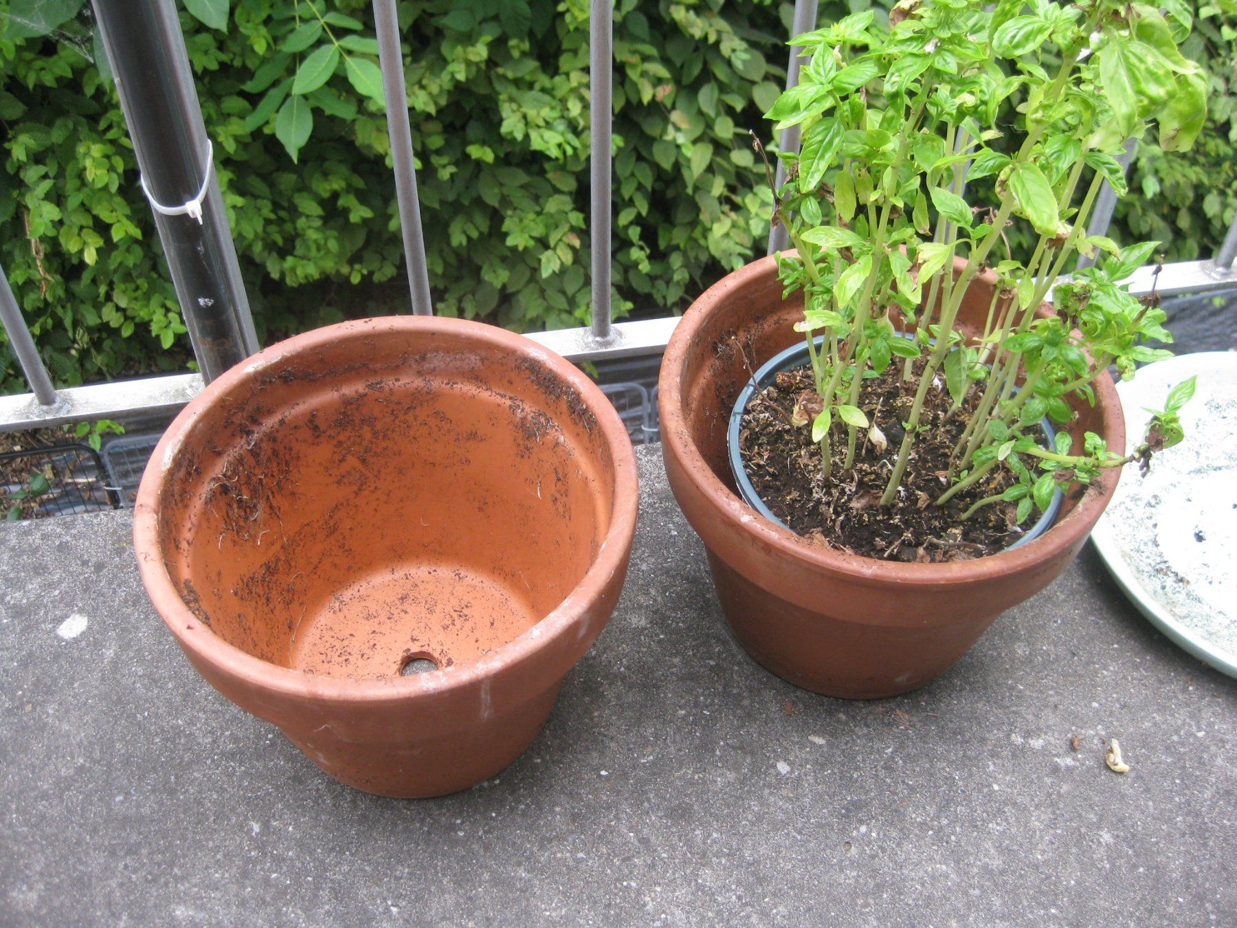 Blumentöpfe: 2 Terracotta Töpfe – Gebraucht aus Romanshorn von Wazoohandlung