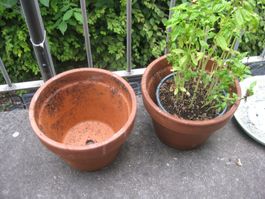 2 Terracotta Töpfe