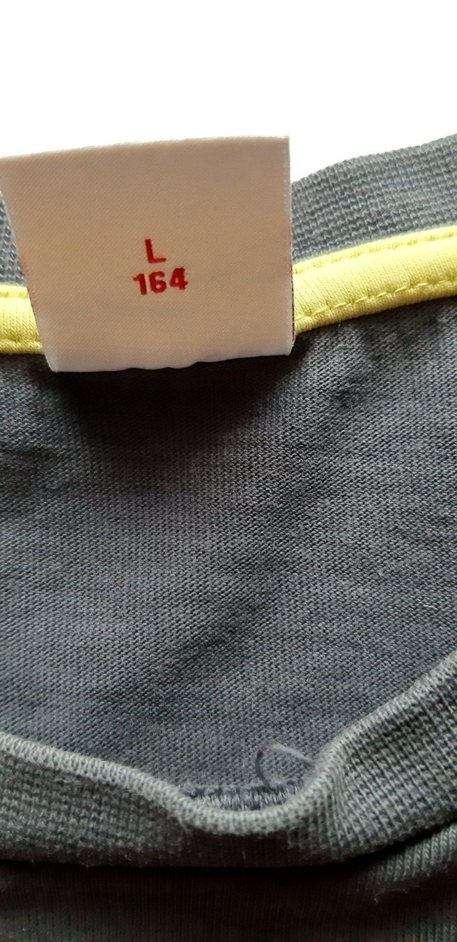 S.Oliver Camicie, T-shirt & Polo: Langarm T-Shirt 3x 164 – Usato da Utzenstorf venduto da Lutra4678 5