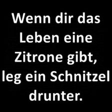 Profile image of Schmidl