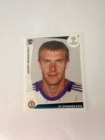 Panini UEFA Champions League 2009-2010 - Nr. 385