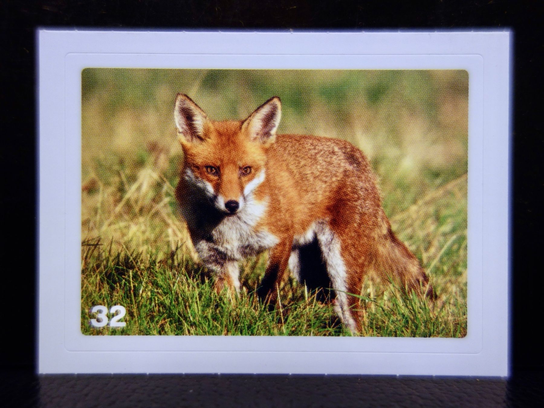 Migros Sammelbilder & Trading cards: MIGROS MANIA Nature Detectives Nr. 32 – Neu und originalverpackt aus Kerzers von djstarsky73