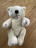 Süsser Teddybär sucht neues Zuhause 🧸 ca. 20cn