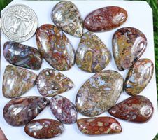 Cabochon Set L-3426 – Palmwurzel Achat 15 Stück 270 Karat