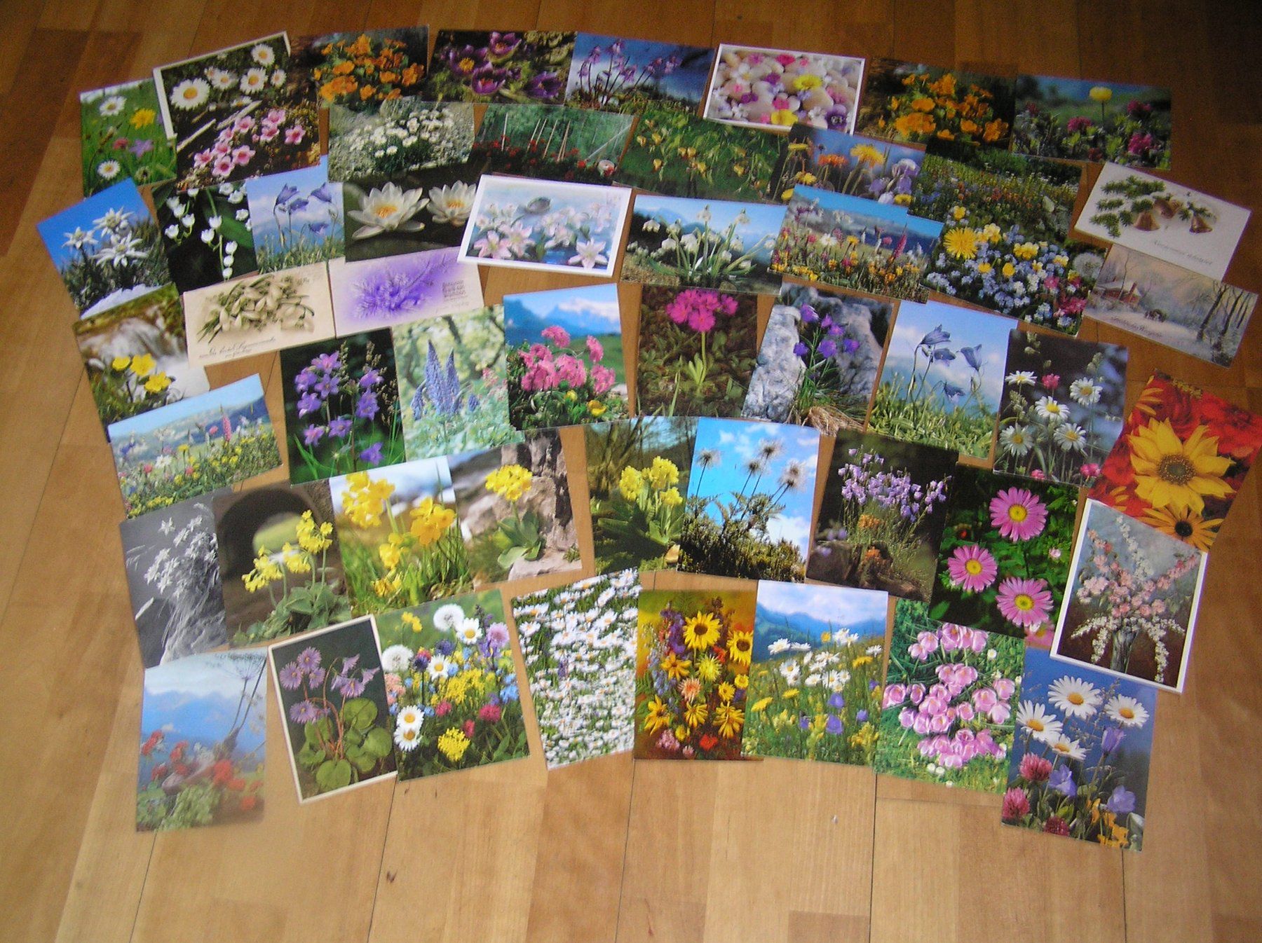 Cartes postales: 600   Diverse Karten Beschrieben – D'occasion à Lumbrein par made02