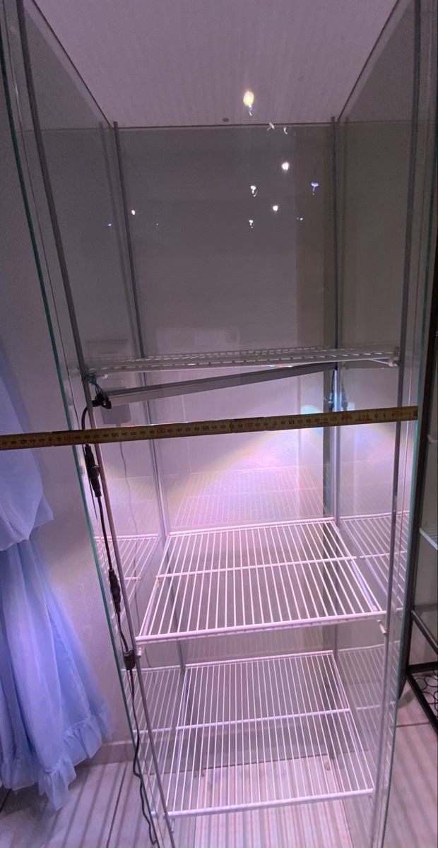 Vetrine: Pflanzen Glasvitrine  mit Beleuchtung – Usato da Zollikerberg venduto da Jvac 3