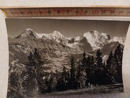 Ansichtskarte Eiger Mönch und Jungfrau