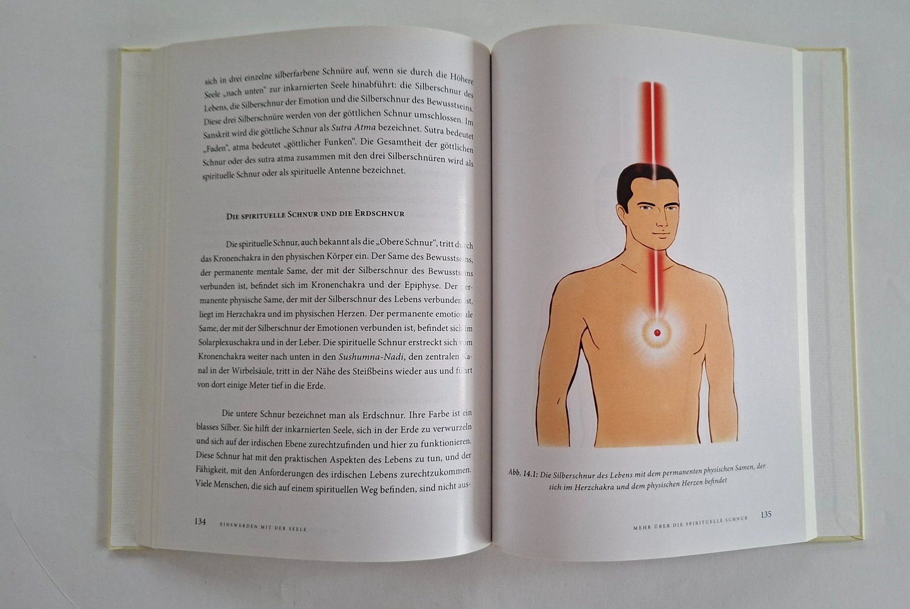Libri: Master Choa Kok Sui - Einswerden mit der Seele, Top! – Usato da Opfikon venduto da Diversamente 5