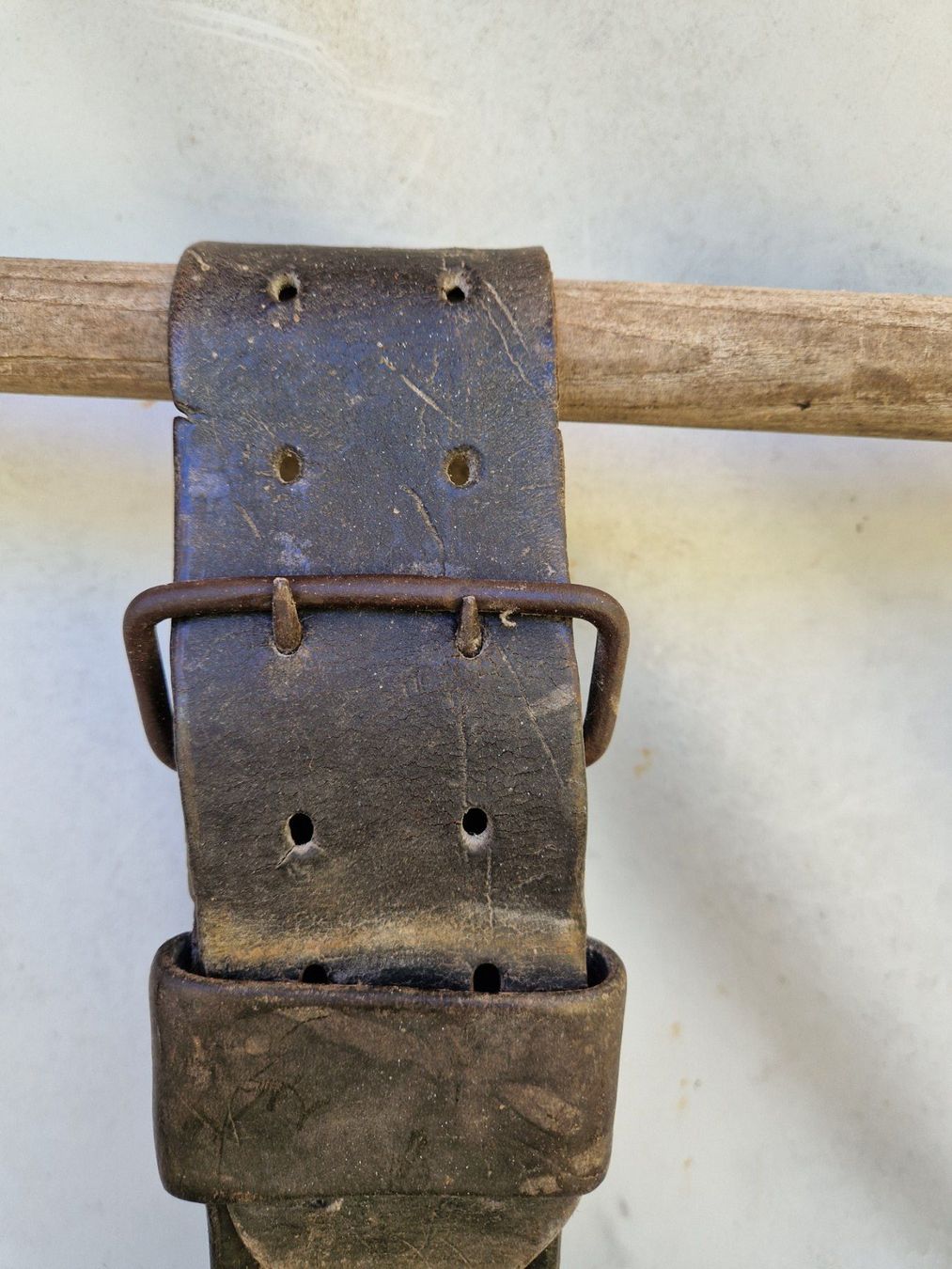 Campanacci mucche: Gusset Glocke – Usato da Fischenthal venduto da sackblitz 3