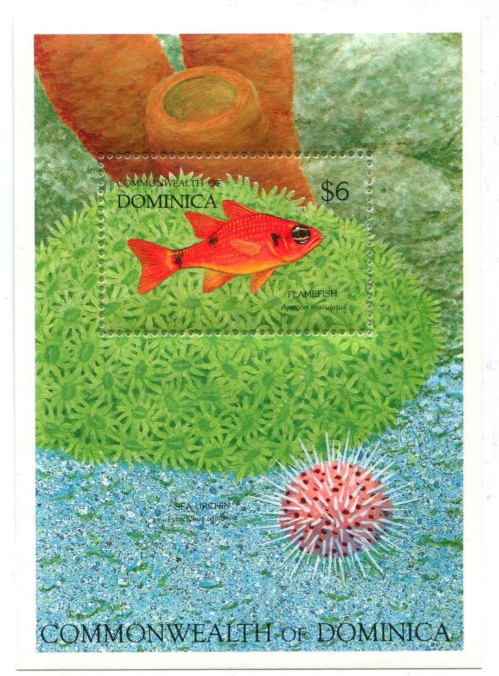 Tous les timbres: Block "Fische, Seeigel". Dominica. – Neuf avec emballage d'origine à Basel par Butsch5