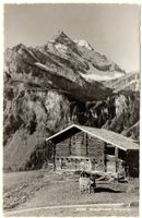 BRAUNWALD Ortstock, Landwirtschaft, Bauer mit Kuh