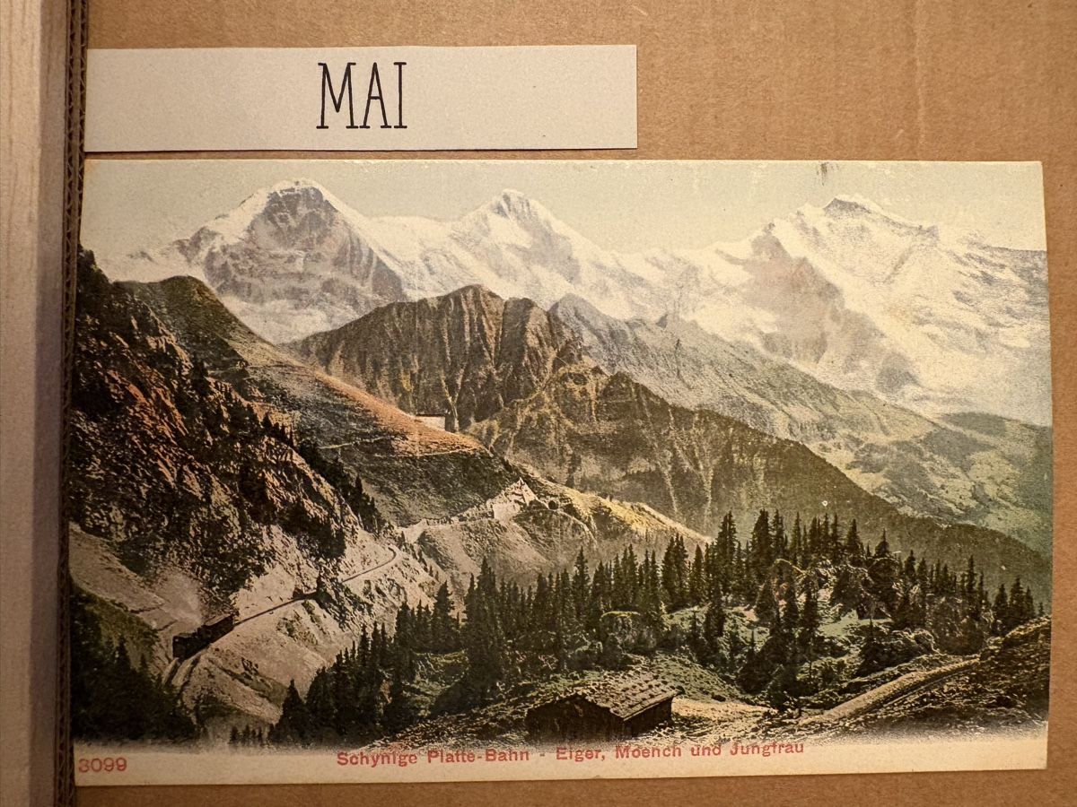 Cartoline postali: AK von Schynige Platte / Eiger Mönch Jungfrau – Usato da Rümlang venduto da Kartenpost1