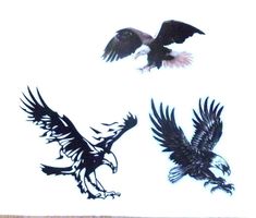 Autocollant! Aigle! Prix par pièce!