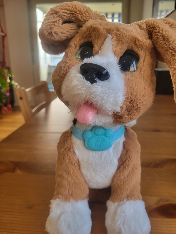 Hasbro Furreal Friends sprechender Hund | Kaufen auf Ricardo