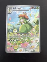 Lilligant - BLK 092 🇺🇸