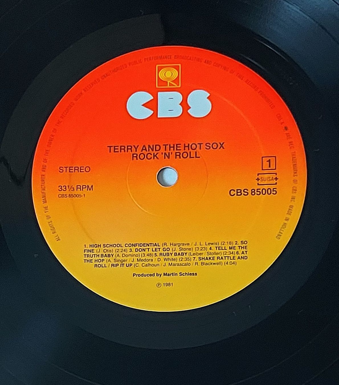 Dischi in vinile: LP - TERRY AND THE HOT SOX - ROCK 'N' ROLL – Usato da Steckborn venduto da Quo7 1